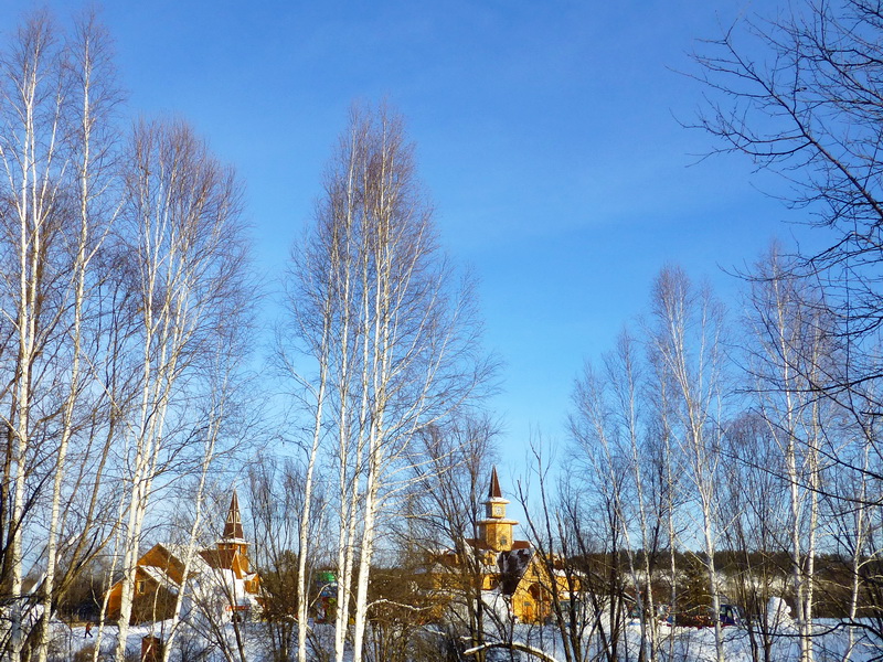 p1010620.jpg