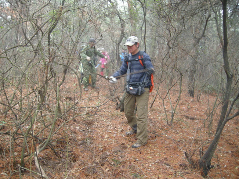 dscn7183.jpg
