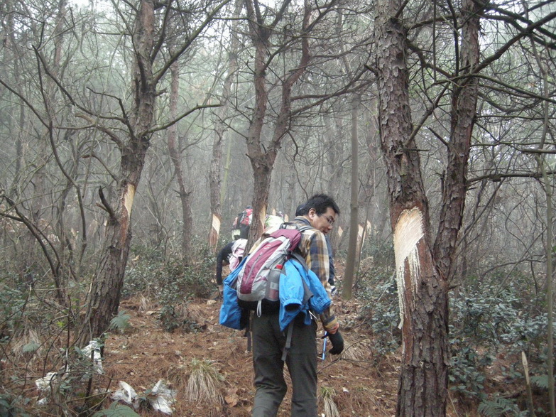 dscn7188.jpg