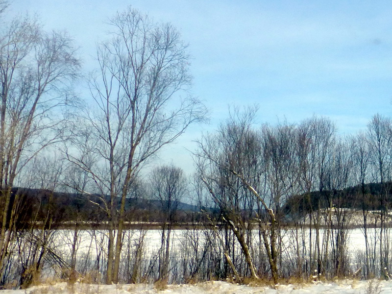 p1010663.jpg