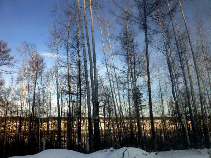 p1010668.jpg