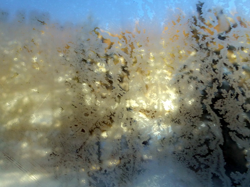 p1010690.jpg