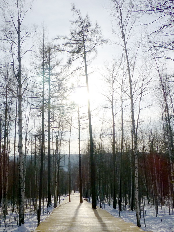 p1010700.jpg
