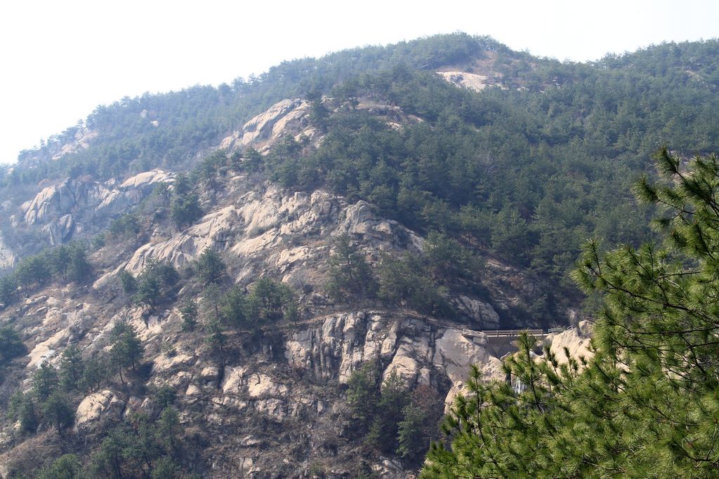 img_0377.jpg