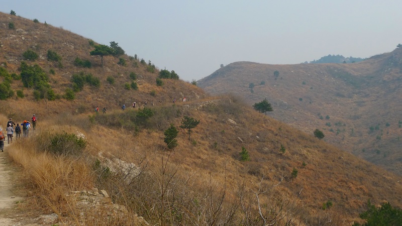 l1410325.jpg