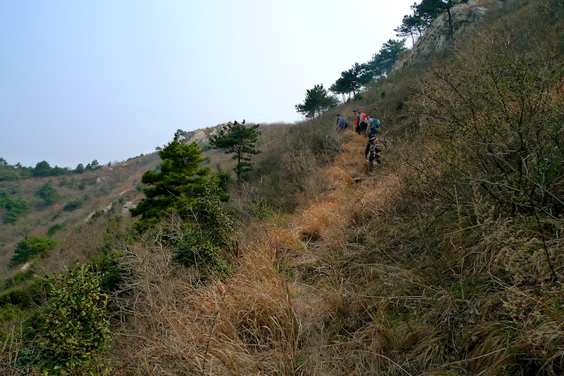 l1410350.jpg