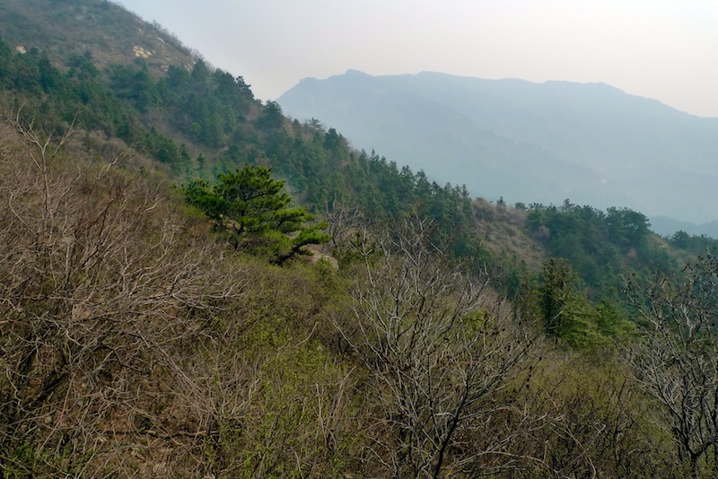 l1410371.jpg