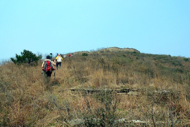 l1410412.jpg