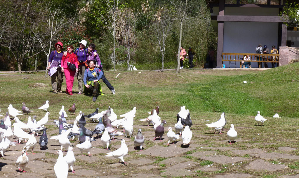 p1060629.jpg