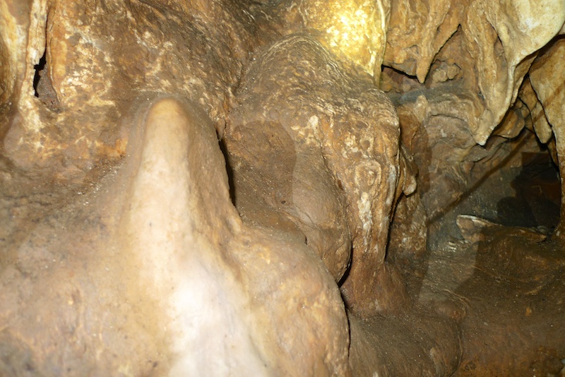 l1410492.jpg