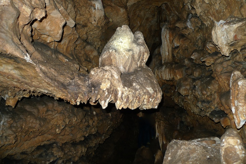 l1410495.jpg