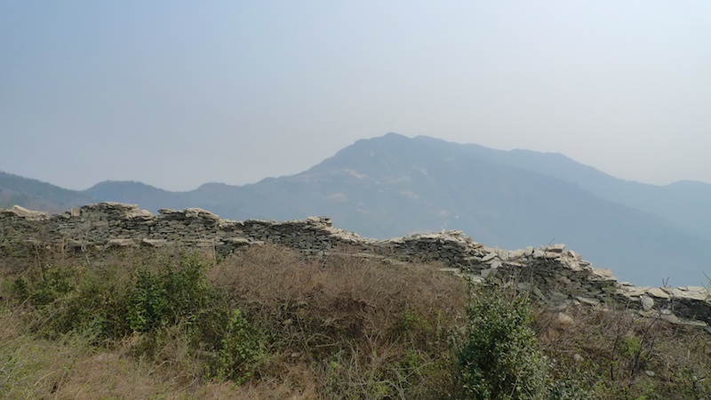 l1410425.jpg