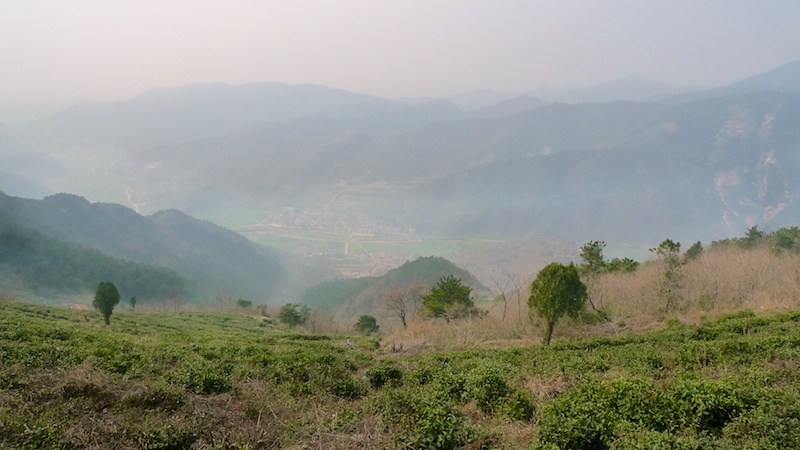 l1410452.jpg