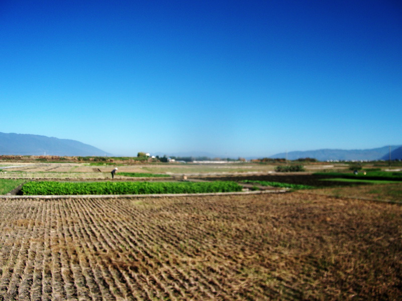 dscf0355.jpg