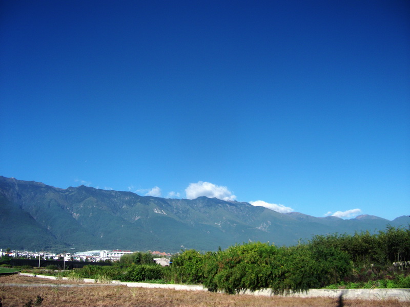 dscf0353.jpg