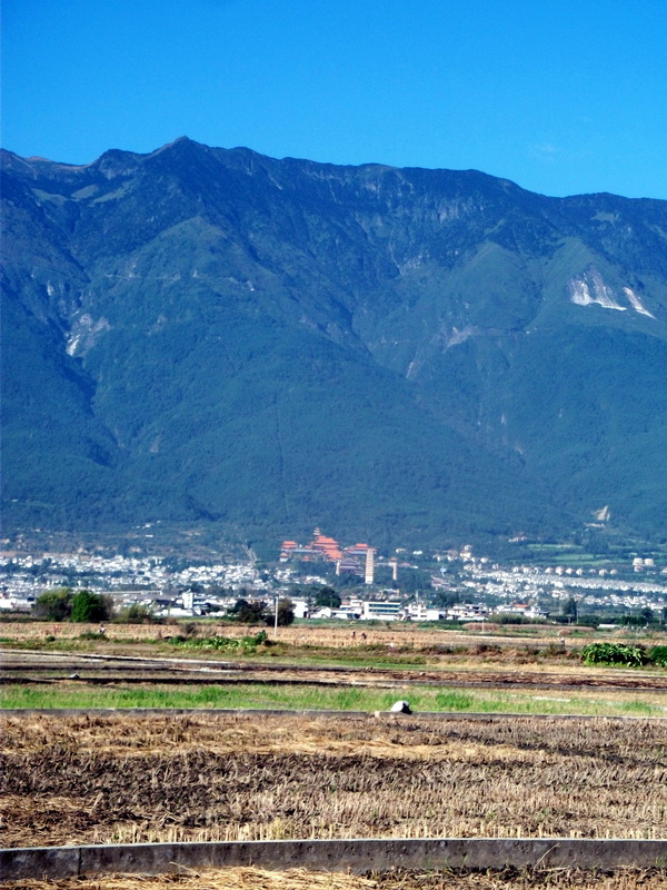 dscf0364.jpg