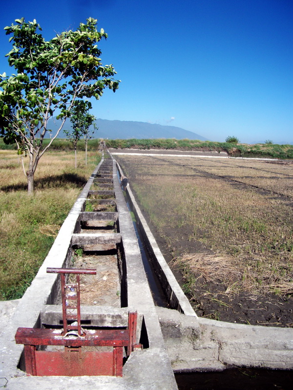 dscf0410.jpg