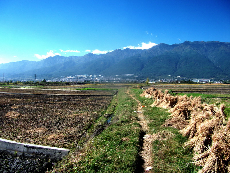dscf0413.jpg