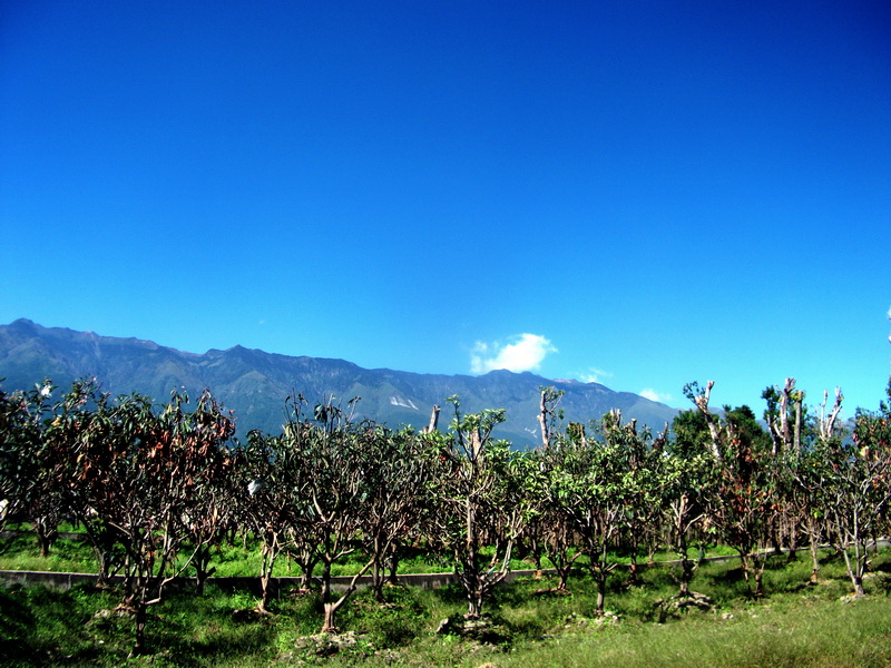 dscf0417.jpg