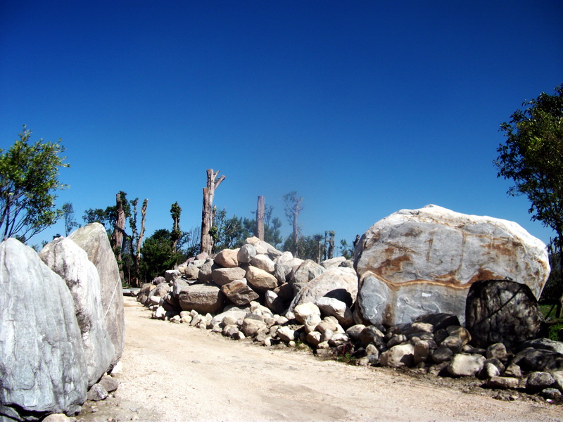 dscf0419.jpg