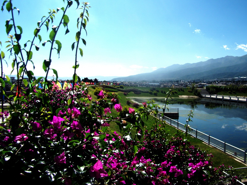 dscf0424.jpg