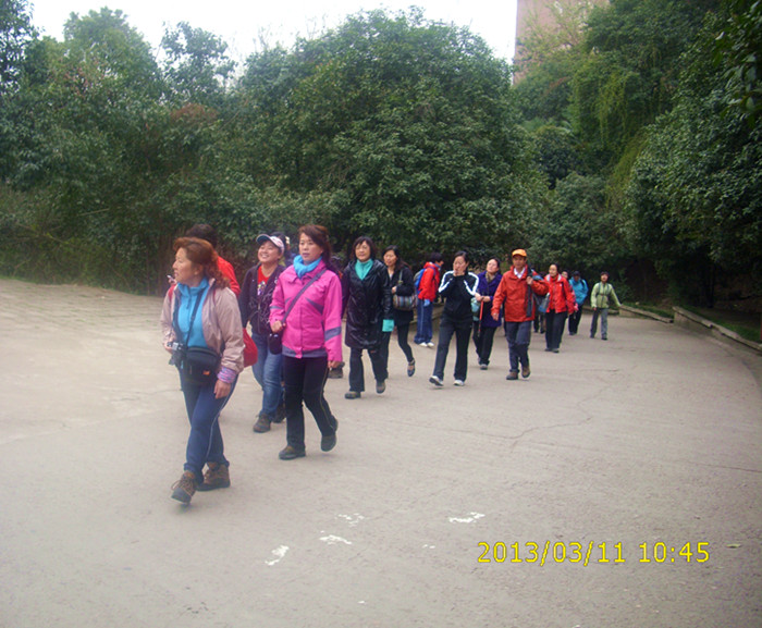 dsci2351.jpg