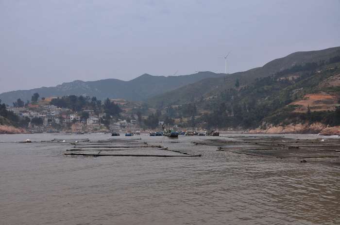 dsc_1033.jpg