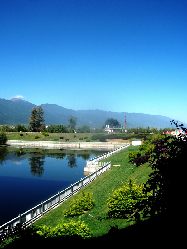 dscf0435.jpg