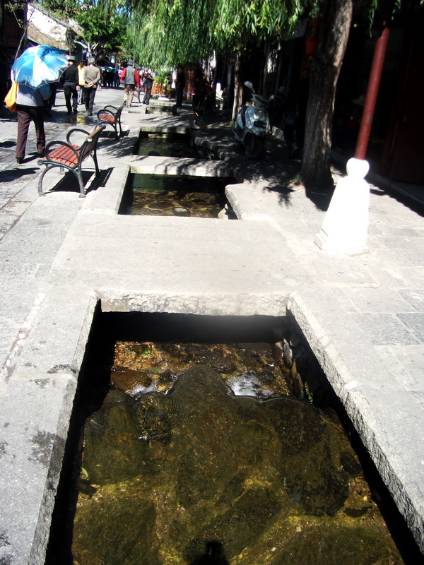 dscf0439.jpg