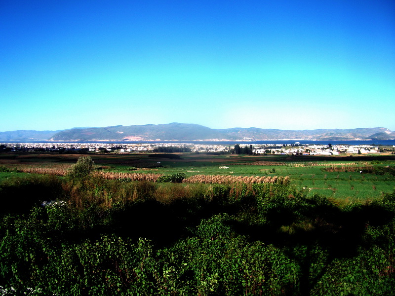 dscf0508.jpg