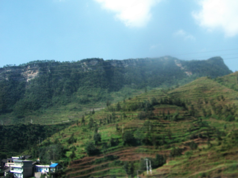 dscf0546.jpg