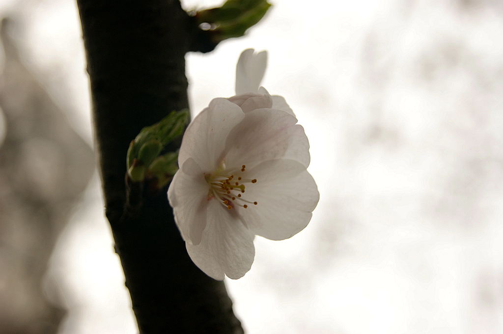 dsc00570.jpg