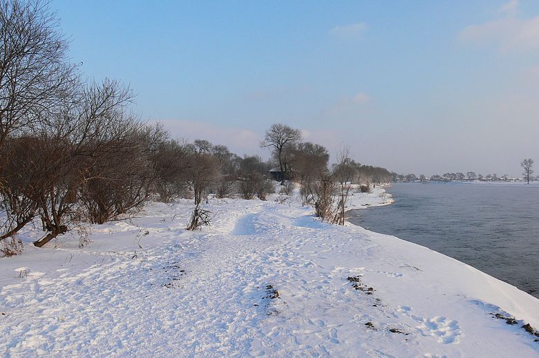 p1250510.jpg