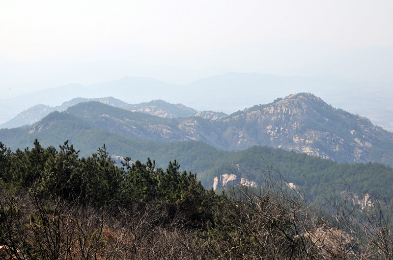 dsc_9715_.jpg
