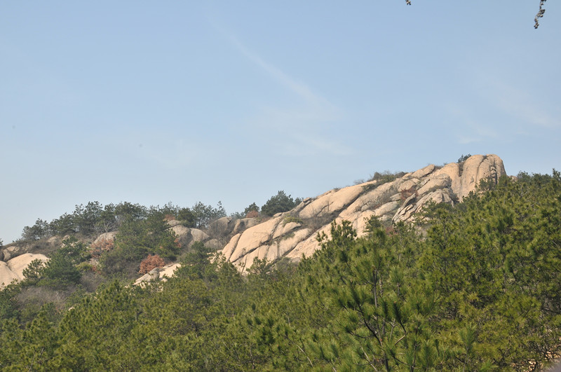dsc_9728_.jpg
