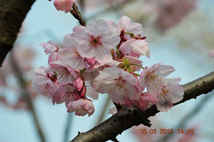dsc_0037.jpg