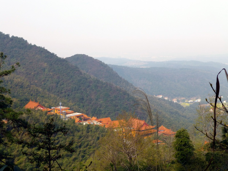 p1030675.jpg