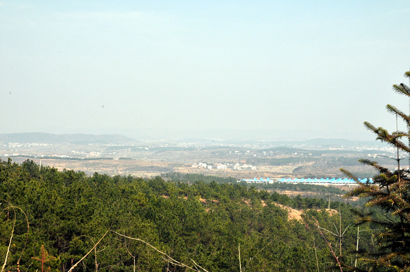 dsc_9764_.jpg