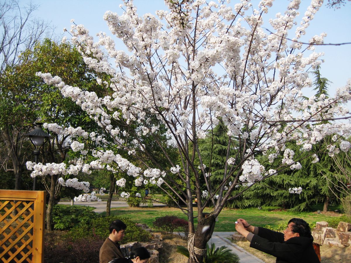 neo_img_img_5091.jpg