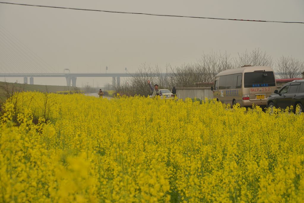 dsc_0656_Ŀѹ.jpg