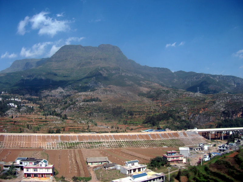 dscf0553.jpg