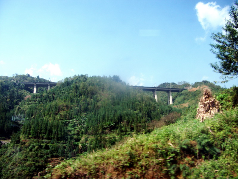 dscf0555.jpg
