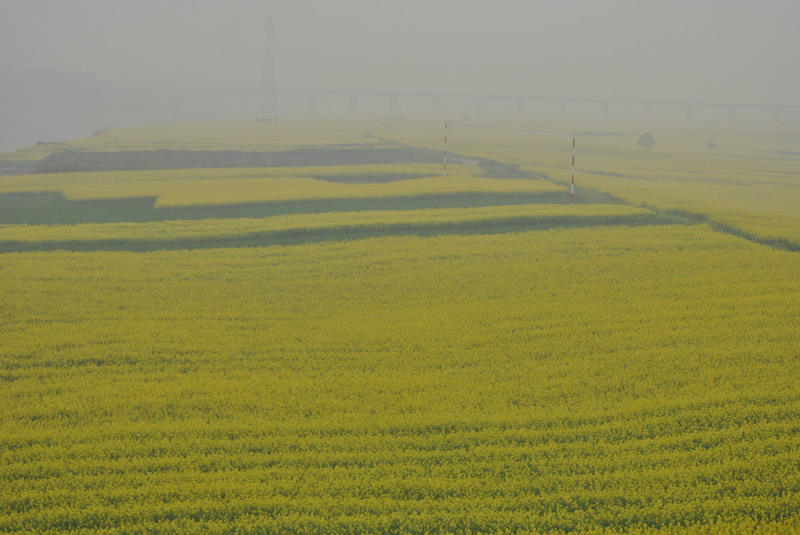 dsc_9708.jpg