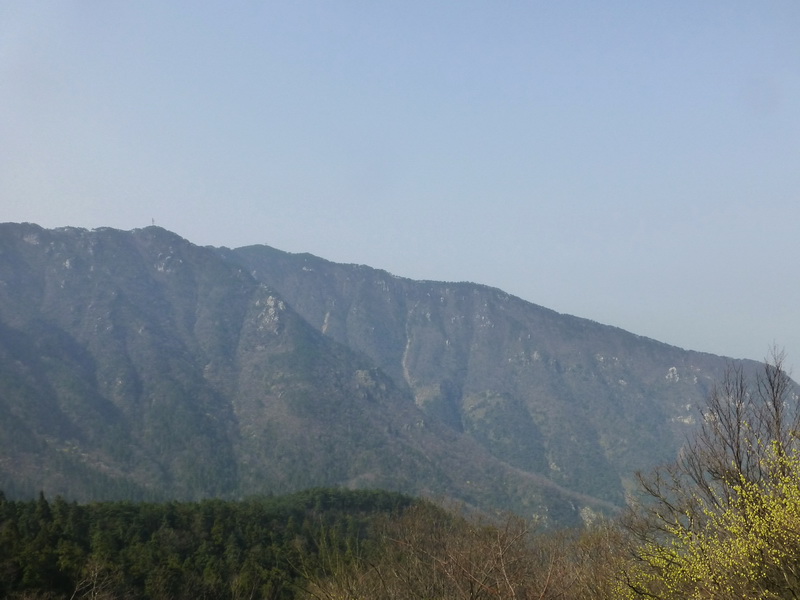 p1030700.jpg