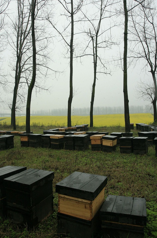_mg_1642_.jpg