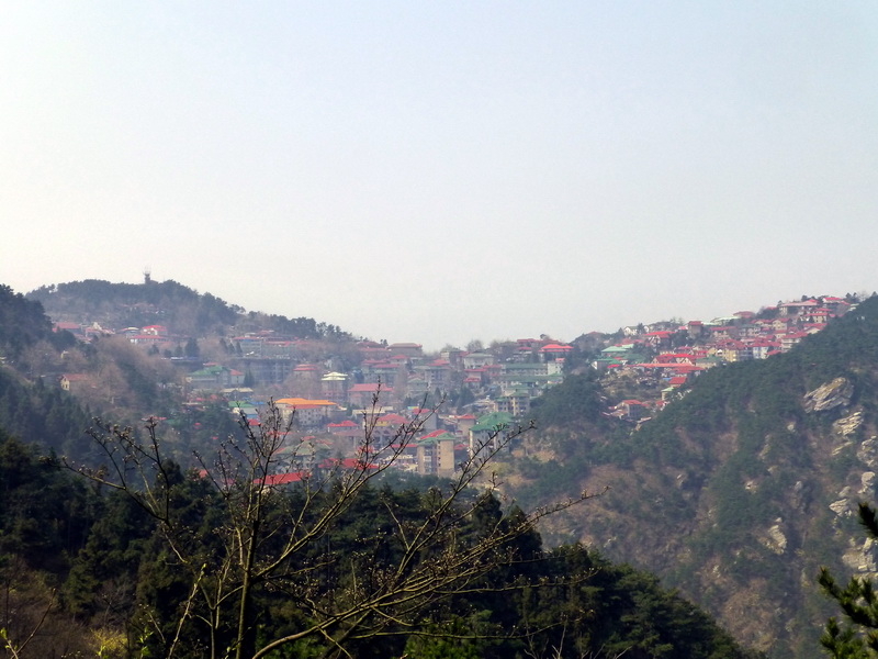 p1030710.jpg
