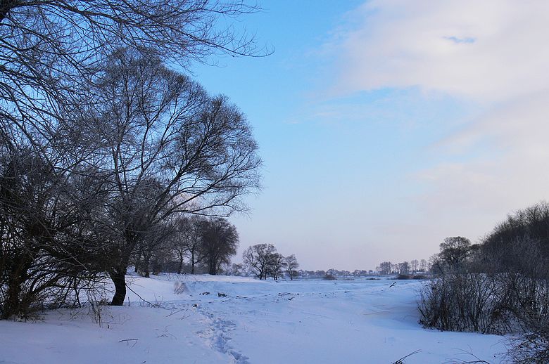 p1250534.jpg