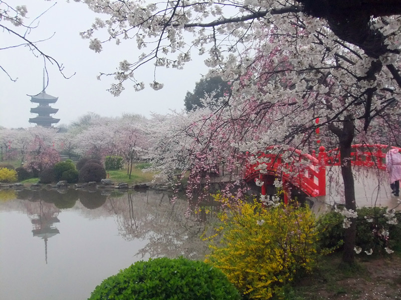 dscf9605_.jpg