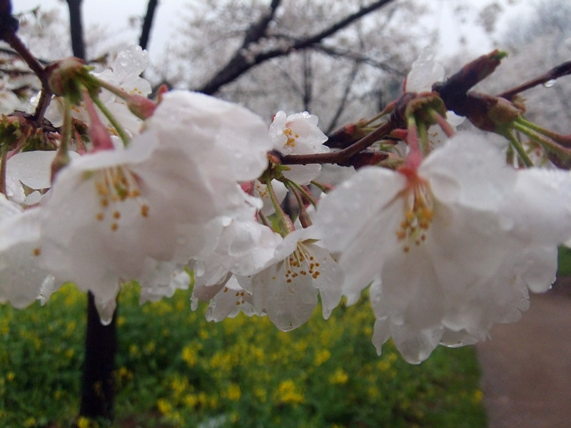 dscf9626_.jpg