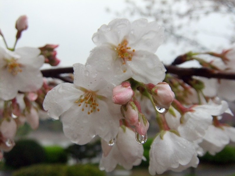 dscf9669_.jpg